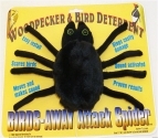 Attack Spider by Birds-Away